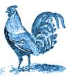 Rooster